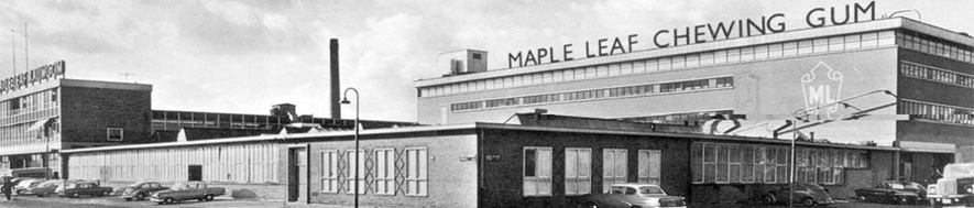 Donald Bubble Gum Factory